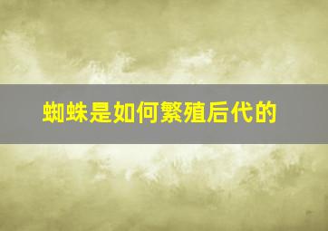 蜘蛛是如何繁殖后代的