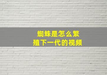 蜘蛛是怎么繁殖下一代的视频