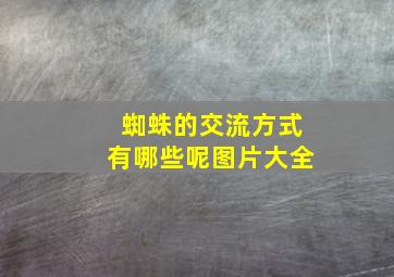 蜘蛛的交流方式有哪些呢图片大全