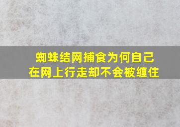 蜘蛛结网捕食为何自己在网上行走却不会被缠住