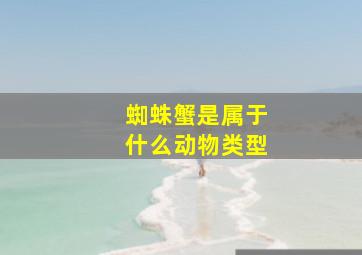 蜘蛛蟹是属于什么动物类型