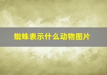 蜘蛛表示什么动物图片