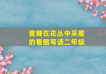 蜜蜂在花丛中采蜜的看图写话二年级