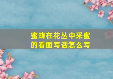 蜜蜂在花丛中采蜜的看图写话怎么写