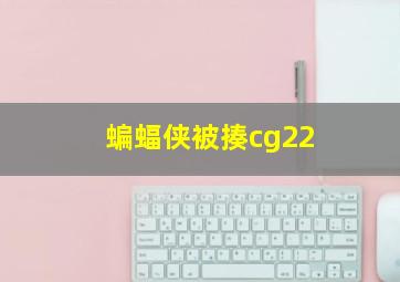 蝙蝠侠被揍cg22