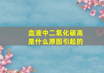 血液中二氧化碳高是什么原因引起的