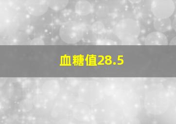 血糖值28.5