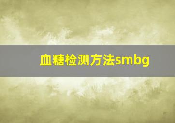 血糖检测方法smbg