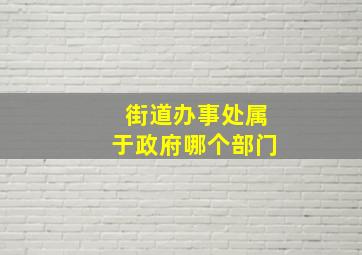 街道办事处属于政府哪个部门