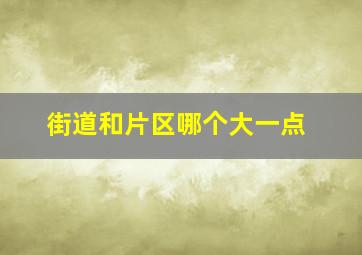 街道和片区哪个大一点