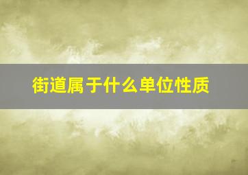 街道属于什么单位性质