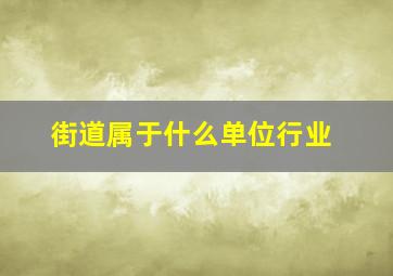 街道属于什么单位行业