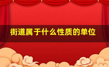 街道属于什么性质的单位