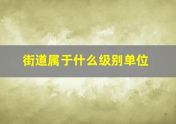 街道属于什么级别单位