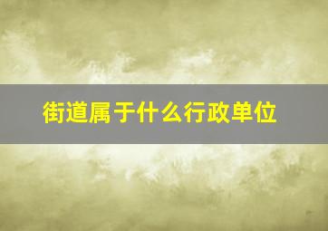 街道属于什么行政单位