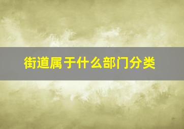 街道属于什么部门分类