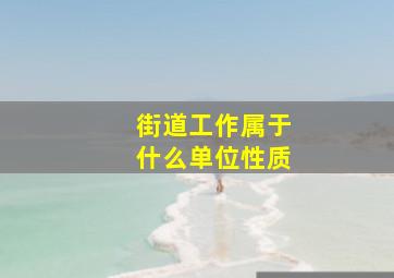 街道工作属于什么单位性质