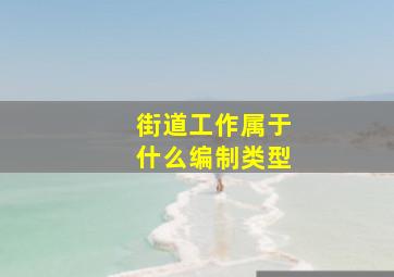 街道工作属于什么编制类型