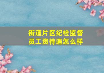 街道片区纪检监督员工资待遇怎么样