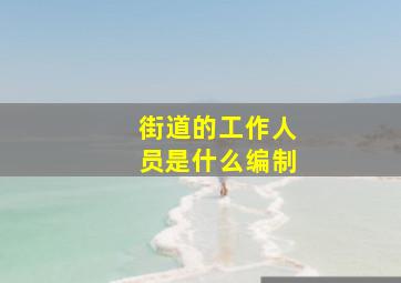 街道的工作人员是什么编制