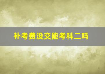 补考费没交能考科二吗