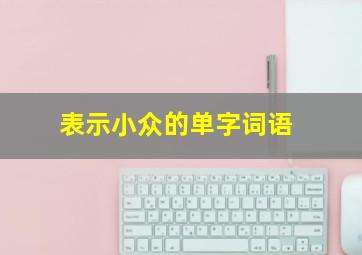 表示小众的单字词语