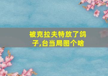 被克拉夫特放了鸽子,台当局图个啥