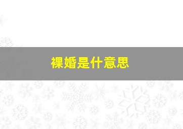 裸婚是什意思