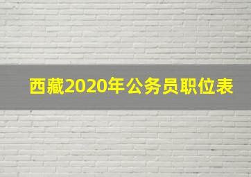 西藏2020年公务员职位表