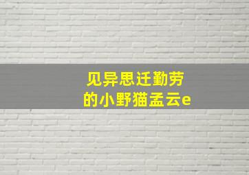 见异思迁勤劳的小野猫孟云e