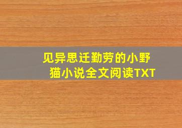 见异思迁勤劳的小野猫小说全文阅读TXT