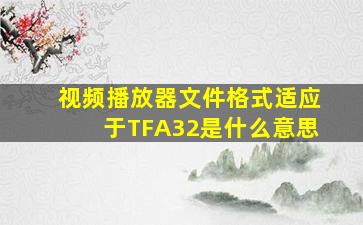 视频播放器文件格式适应于TFA32是什么意思