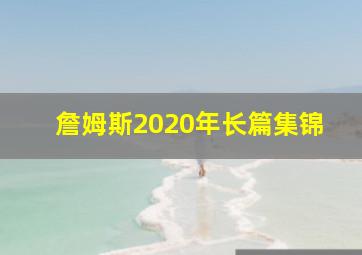 詹姆斯2020年长篇集锦