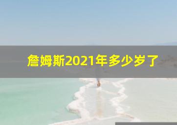 詹姆斯2021年多少岁了