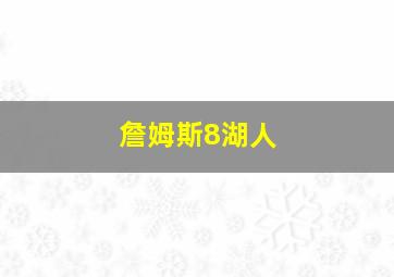 詹姆斯8湖人