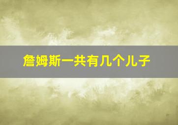 詹姆斯一共有几个儿子