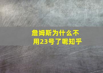 詹姆斯为什么不用23号了呢知乎