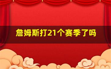 詹姆斯打21个赛季了吗