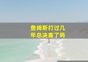 詹姆斯打过几年总决赛了吗