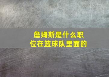 詹姆斯是什么职位在篮球队里面的