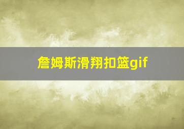 詹姆斯滑翔扣篮gif