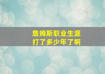 詹姆斯职业生涯打了多少年了啊