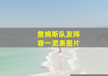 詹姆斯队友阵容一览表图片