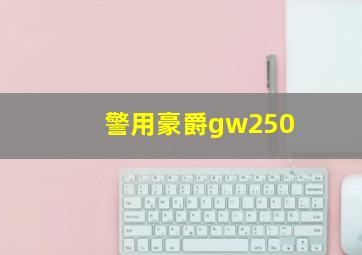 警用豪爵gw250