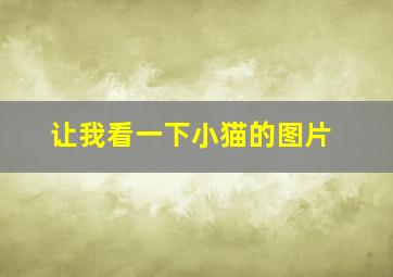 让我看一下小猫的图片