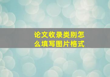 论文收录类别怎么填写图片格式