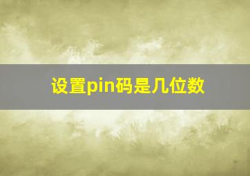 设置pin码是几位数