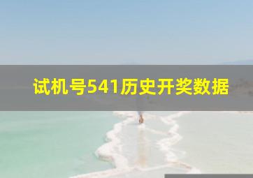 试机号541历史开奖数据