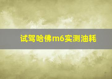 试驾哈佛m6实测油耗