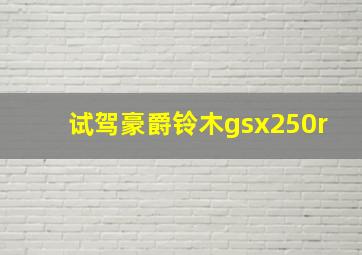 试驾豪爵铃木gsx250r